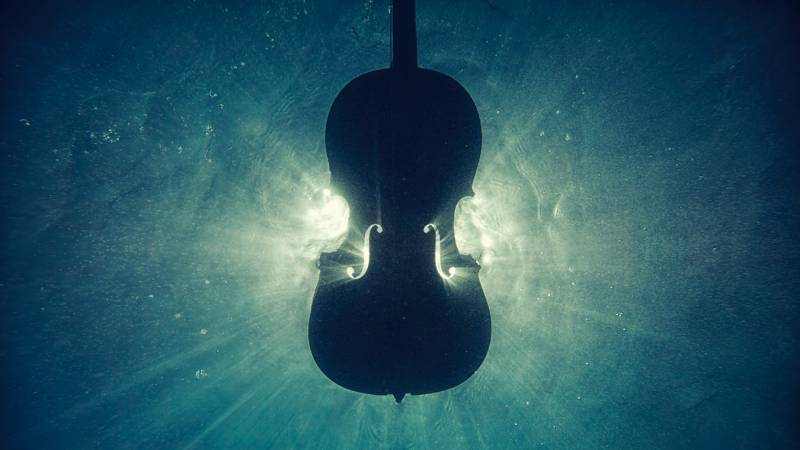 Minha primeira experiência com Violino
